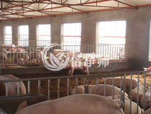 养殖场除臭剂,猪场除臭剂,植物液除臭剂,生物菌除臭剂,生物酶除臭剂,除臭剂生产厂家